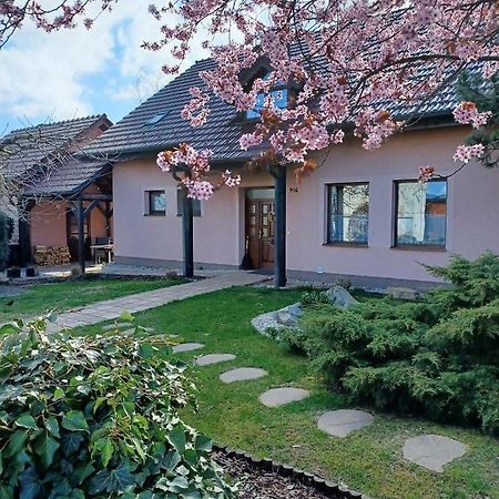Ubytovani V Soukromi Na Sadove 906 - Valtice Exteriér fotografie