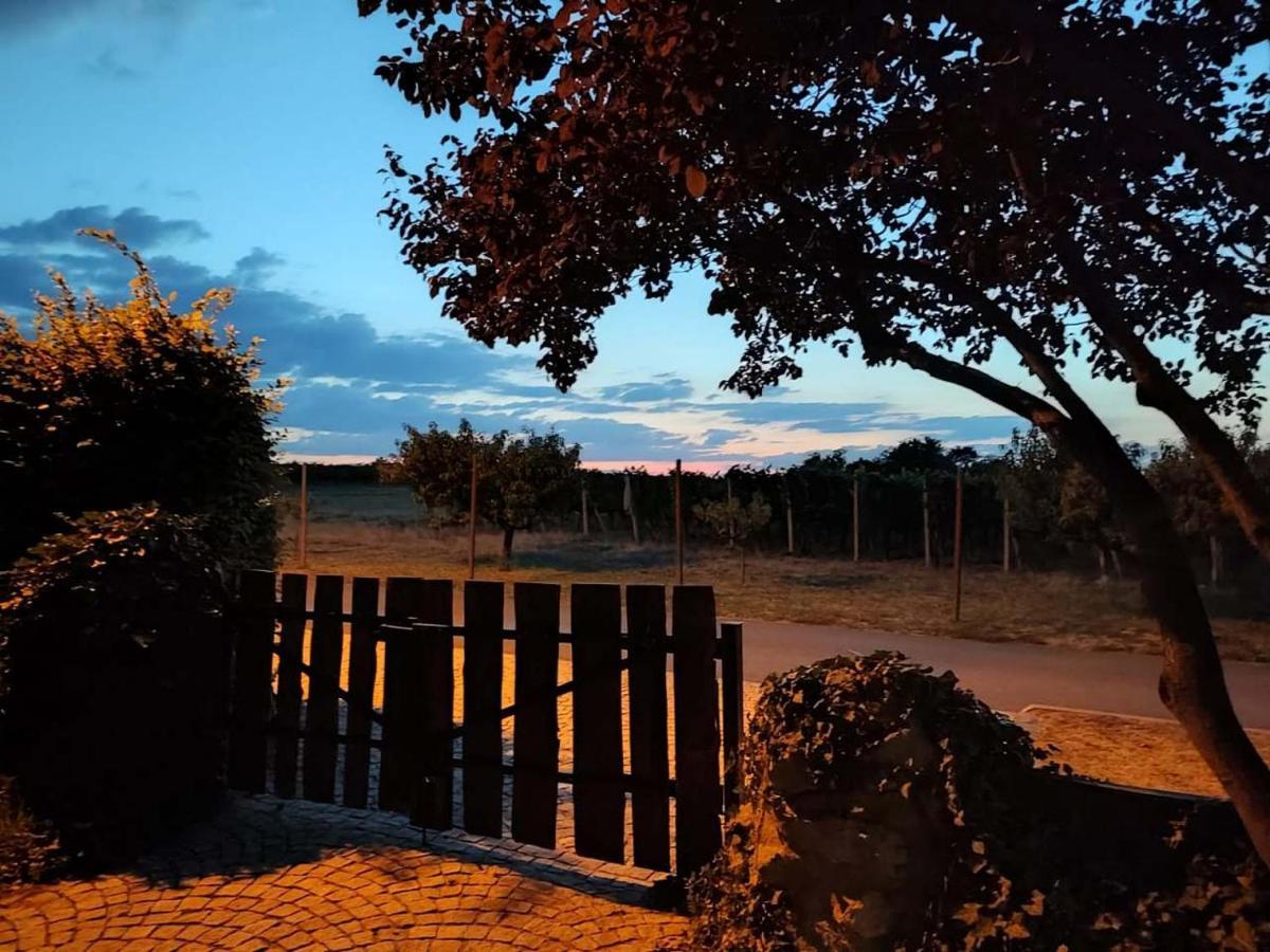 Ubytovani V Soukromi Na Sadove 906 - Valtice Exteriér fotografie